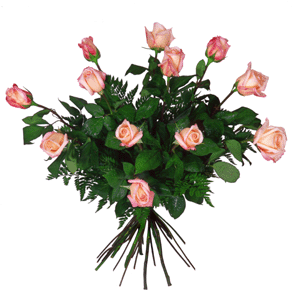 LAS  FLORES  DE  MAYO.