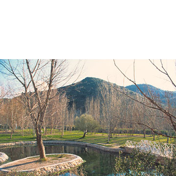 MIS SENTIMIENTOS CASTILLEROS