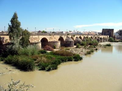 sue&ntilde;os de mi ni&ntilde;es